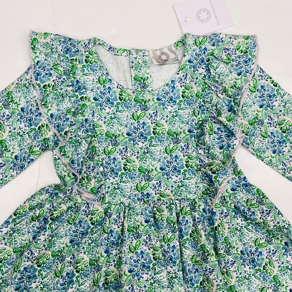 NWT TPP 4T Blue Aster Twirl Dress - Picture 2 of 6